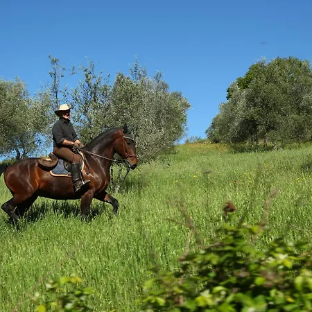Agriturismo Palazzo Bandino in Val di Chiana, Val dorcia-3